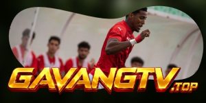 Dự Đoán Trận Santa Clara Vs Benfica 01h45 27/10